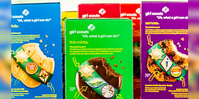 Allie Shroyer, a first grader, from Scottsdale, Arizona, hit her Girl Scout cookie sales goal after her fabulous sales spilled out in front of her doorbell surveillance camera.  (IStock)